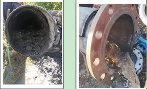 ������˾ͻ���L���x����߲�ҹܾ���ϴ��ˇ