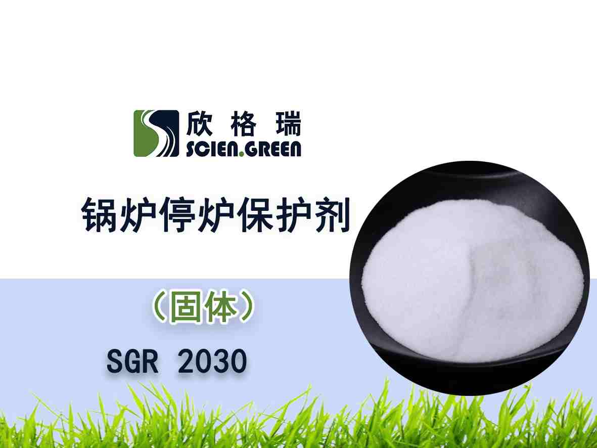 偠tͣ�t���o��SGR 2030